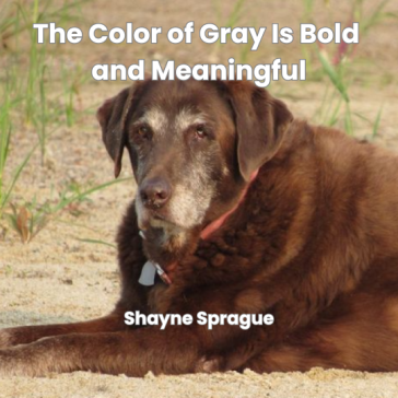 The Color of Gray Is Bold and Meaningful