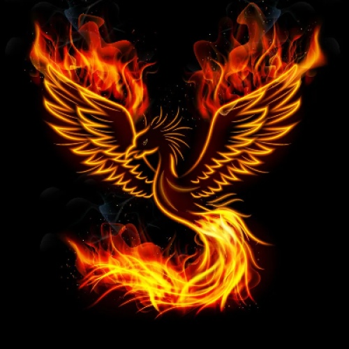 Game of burning bird