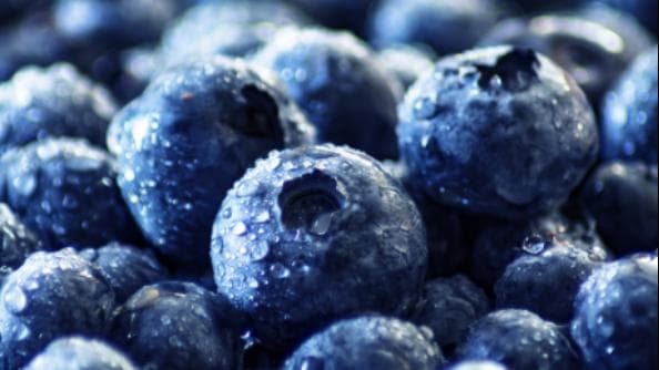 BlueberryNarratives