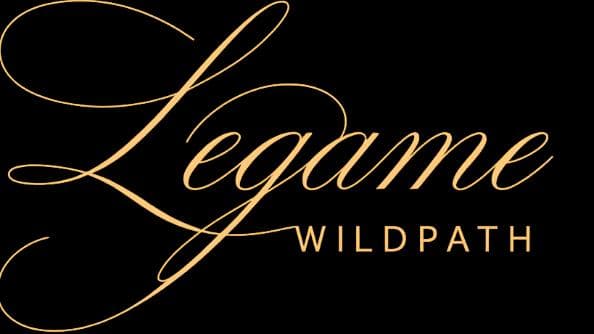 legame-17