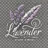 Lavender