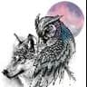 owlovertheworld
