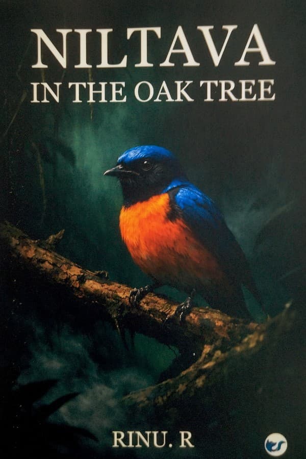 Niltava in the Oak Tree