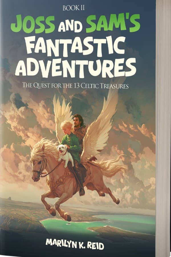 Joss and Sam's Fantastic Adventures Book 2
The Quest for the 13 Celtic Treasures