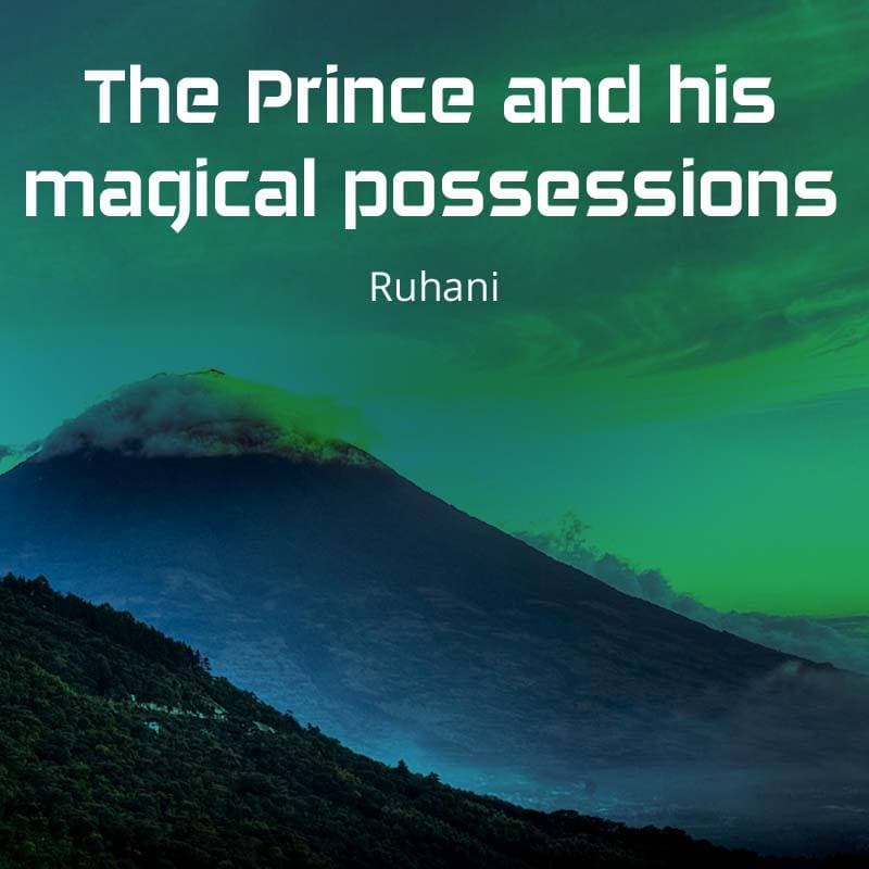 Cover for The Prince and his magical possessions