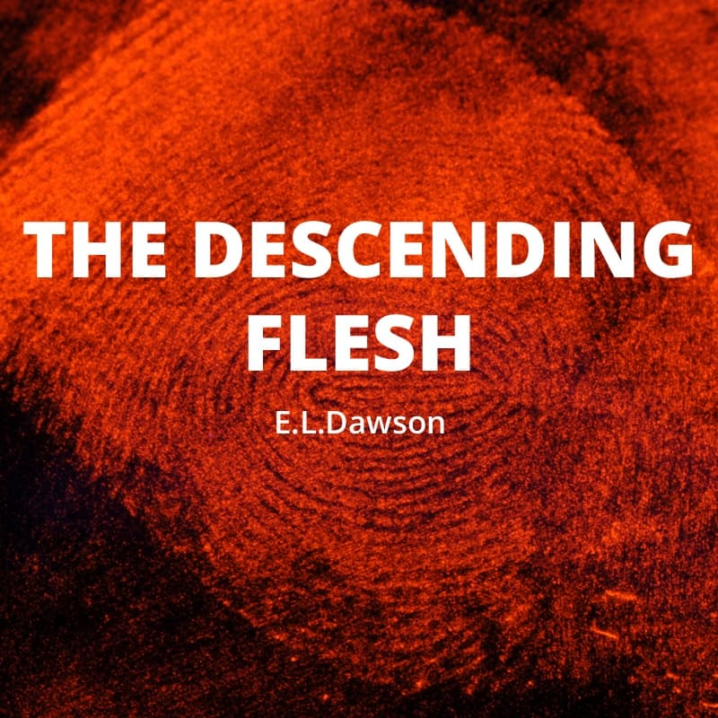 Cover for THE DESCENDING FLESH