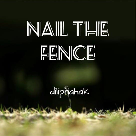 Cover for Nail The Fence