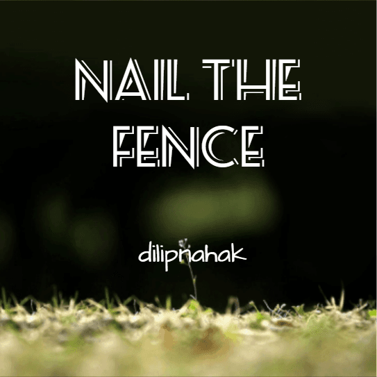 Cover for Nail The Fence