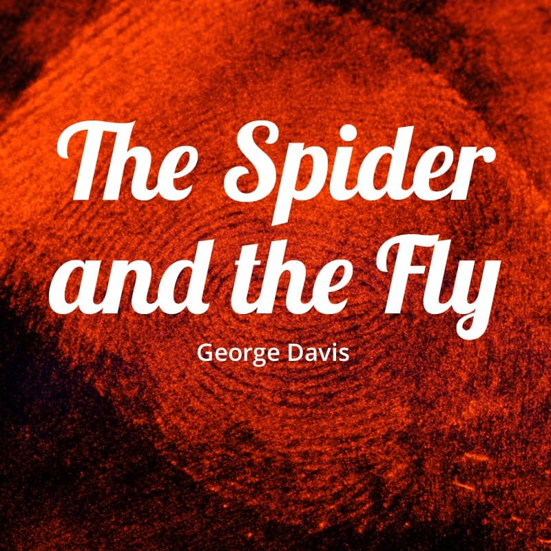 Cover for The Spider and the Fly