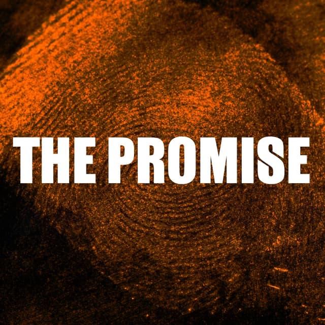 Cover of The Promise