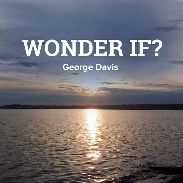 Cover of Wonder If?