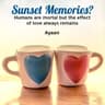 Story Cover Image