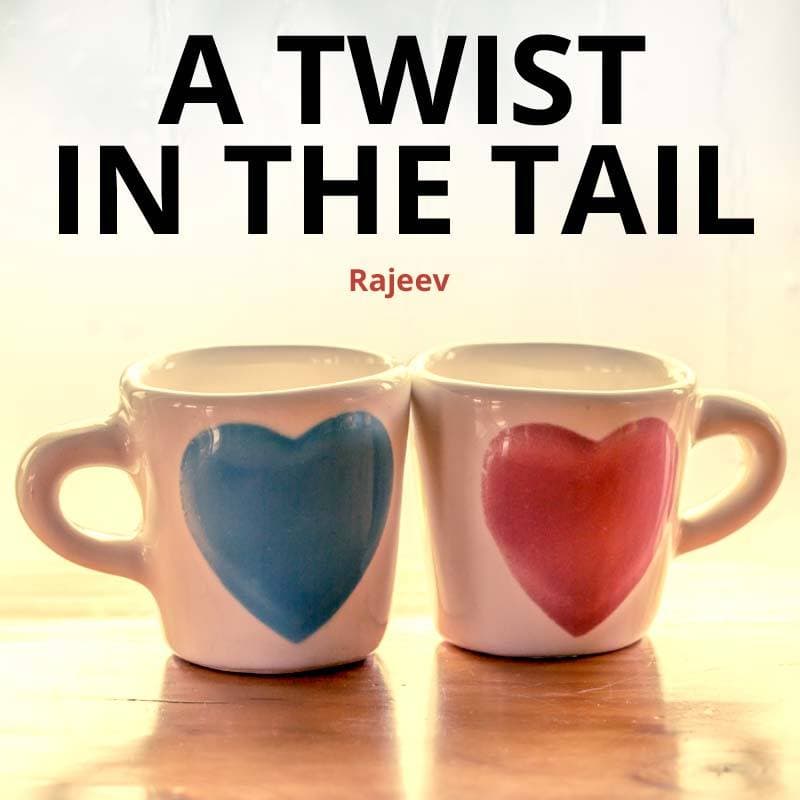 Cover for A twist in the tail