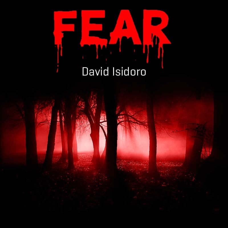 Cover for FEAR