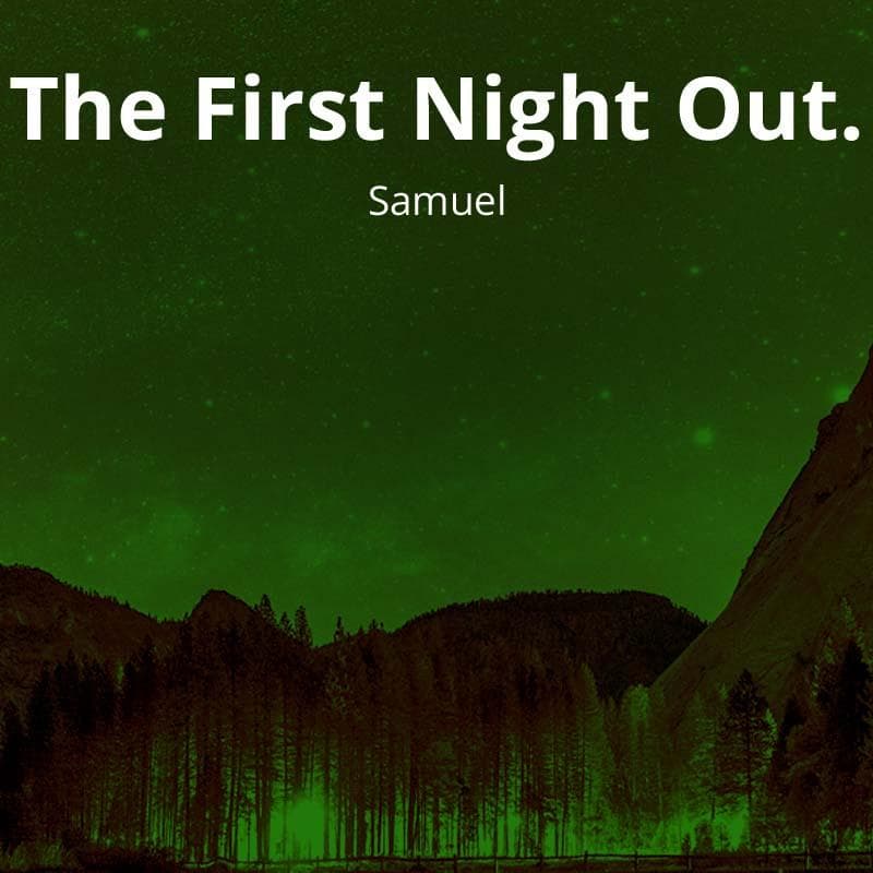 Cover for The First Night Out