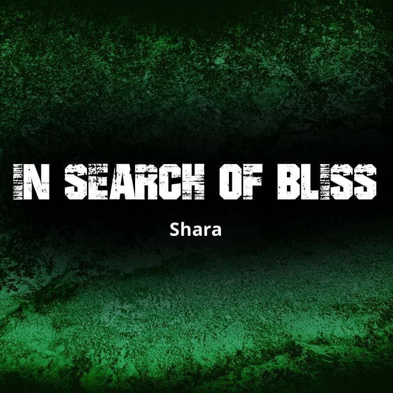Cover for In search of bliss
