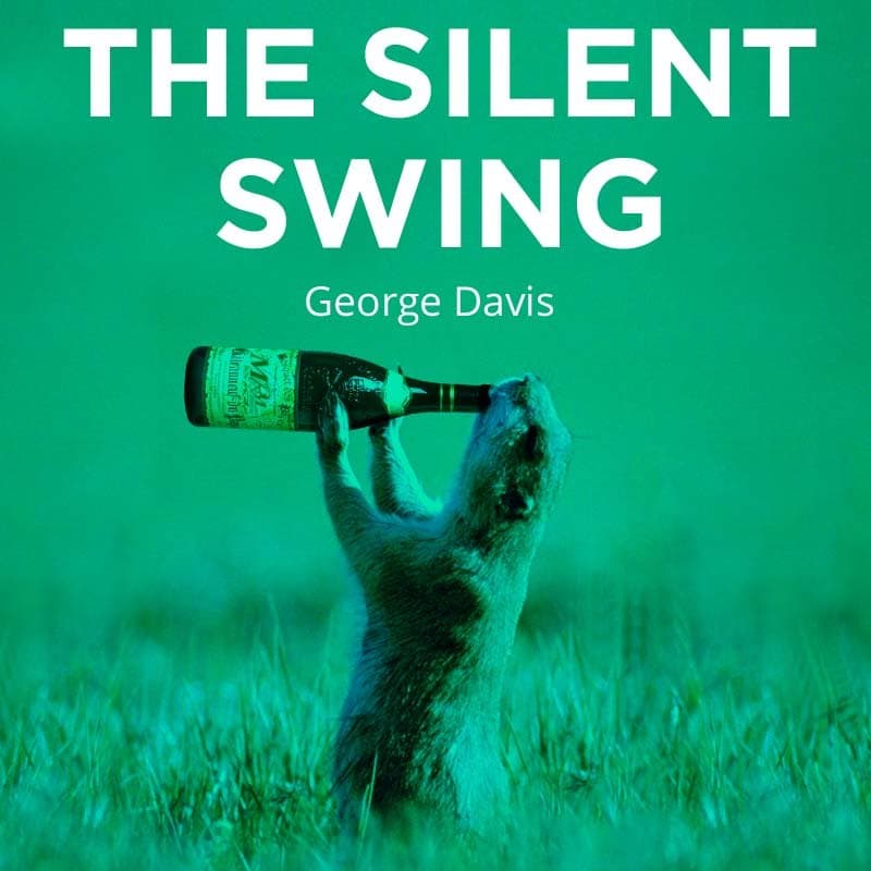 Cover for The Silent Swing