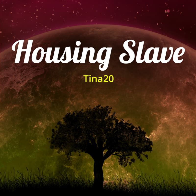 Housing Slave