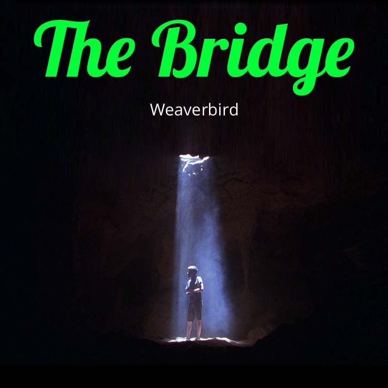 Cover for The Bridge