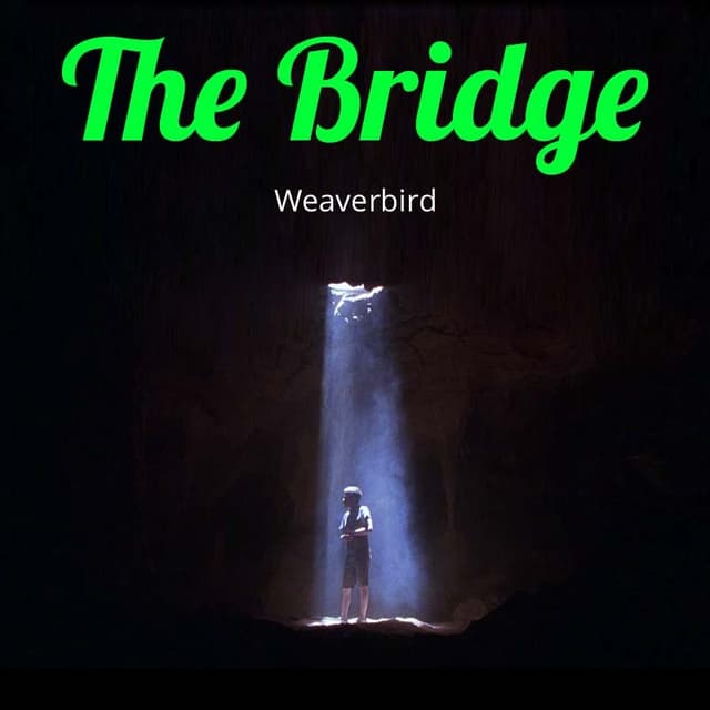 Cover of The Bridge