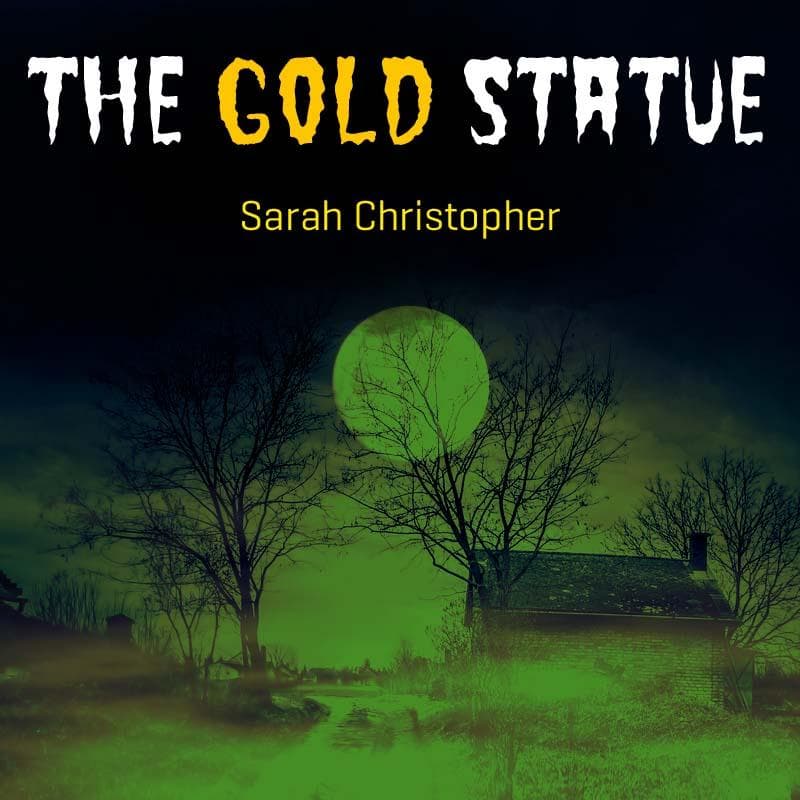 Story Cover Image