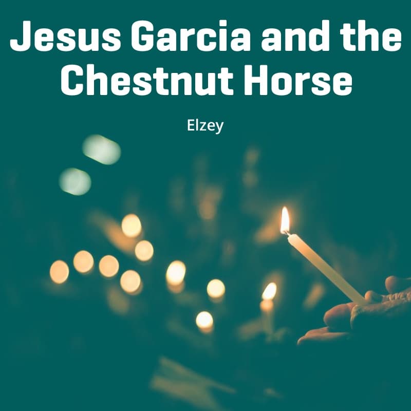 Cover for Jesus Garcia and the Chestnut Horse