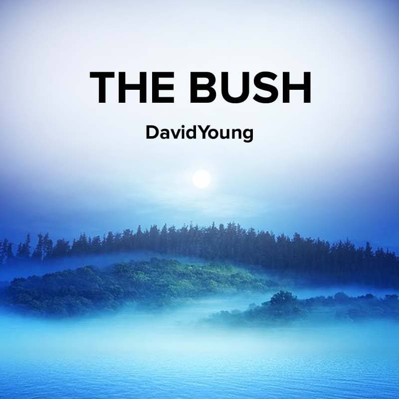 Cover for The Bush