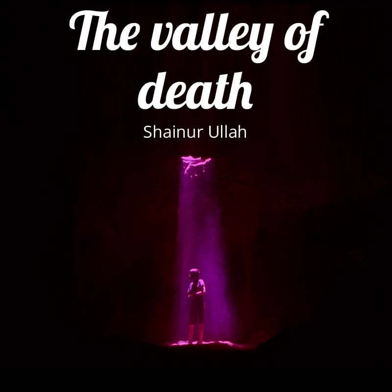 Cover for The valley of death