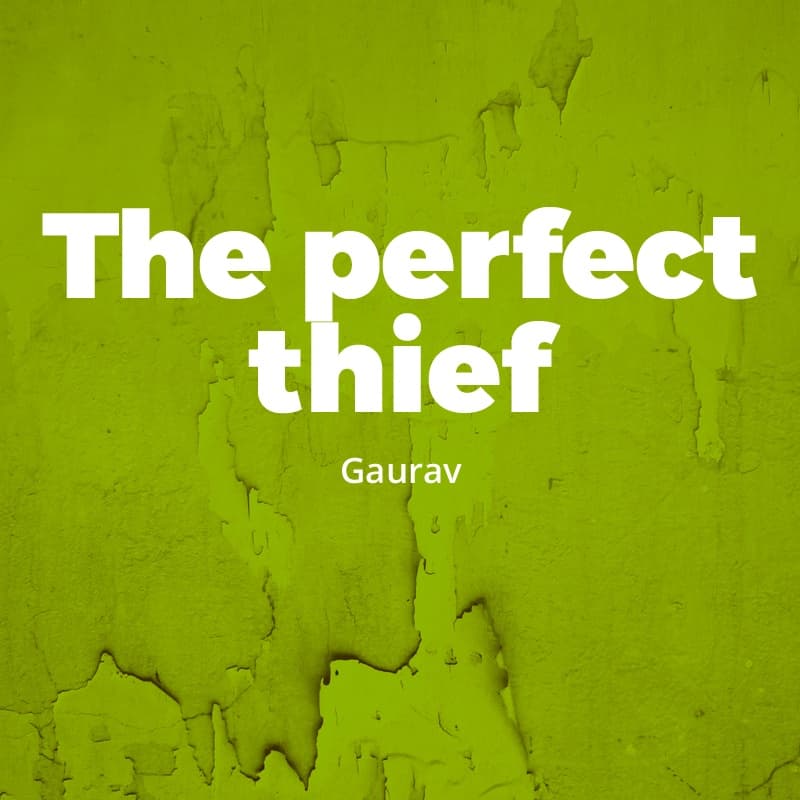 Cover for The perfect thief