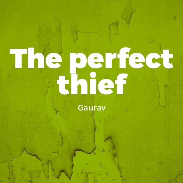 Cover of The perfect thief