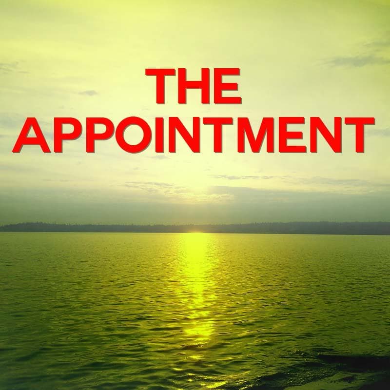 Cover for The Appointment
