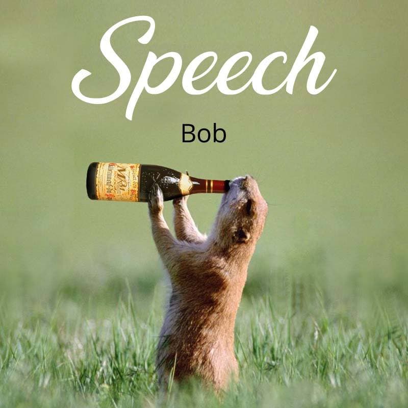 Cover for Speech