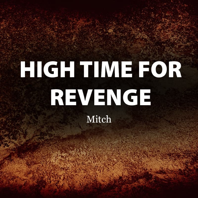 Cover for High Time For Revenge