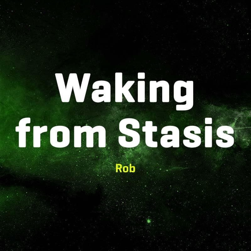 Cover for Waking from Stasis