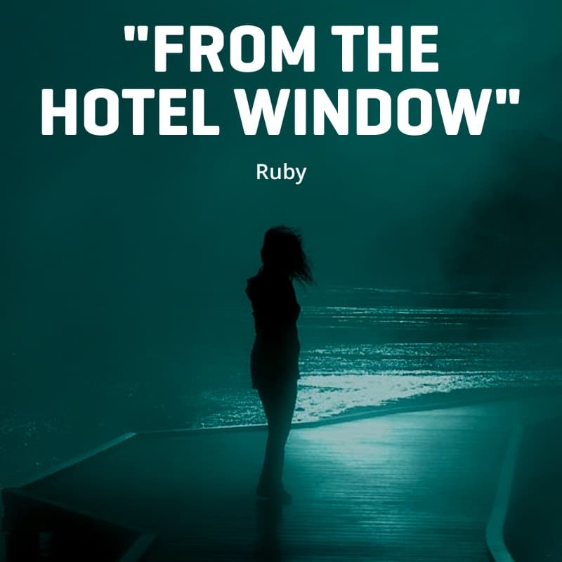 Cover for "FROM THE HOTEL WINDOW"