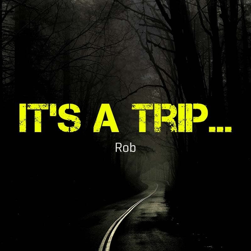Cover for It's a trip...