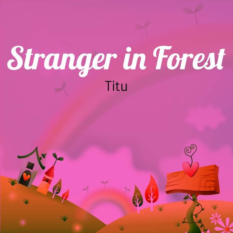 Cover for Stranger in Forest
