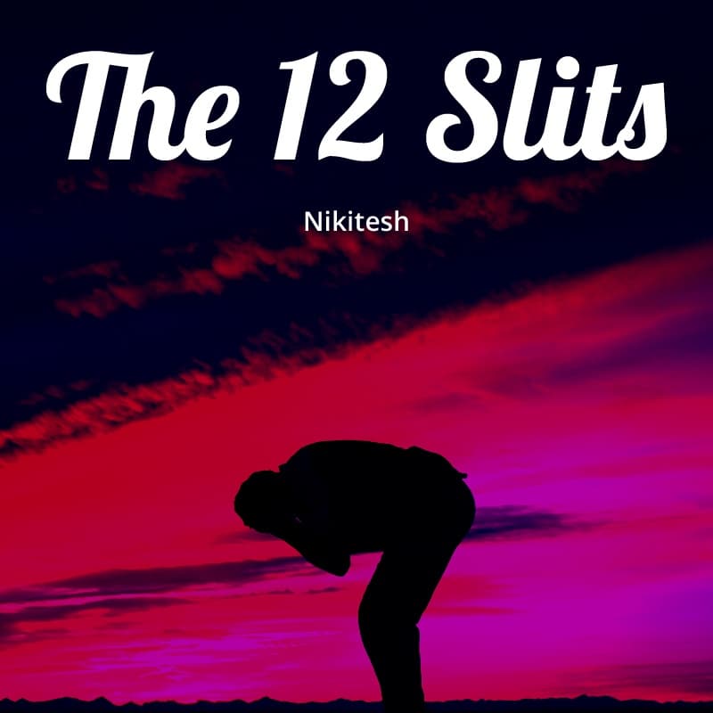 Cover for The 12 Slits