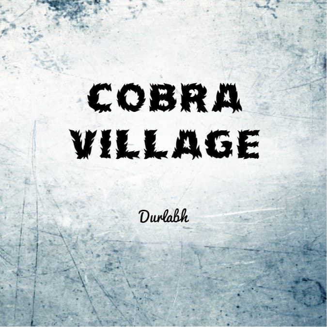 Cover for Cobra Village