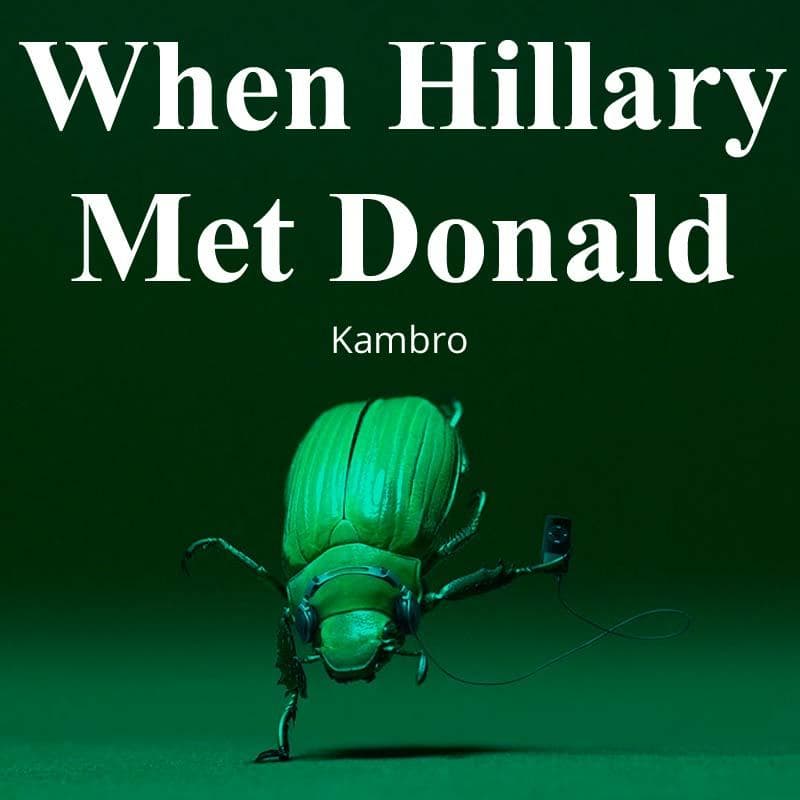 Cover for When Hillary Met Donald
