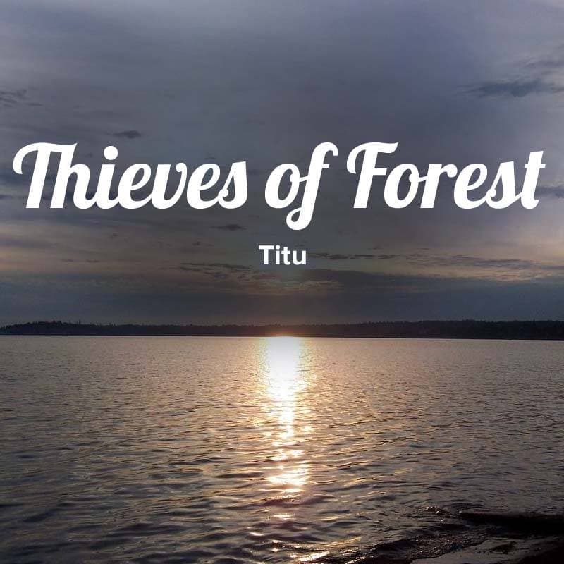 Cover for Thieves of Forest
