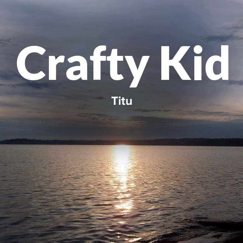 Cover for Crafty Kid