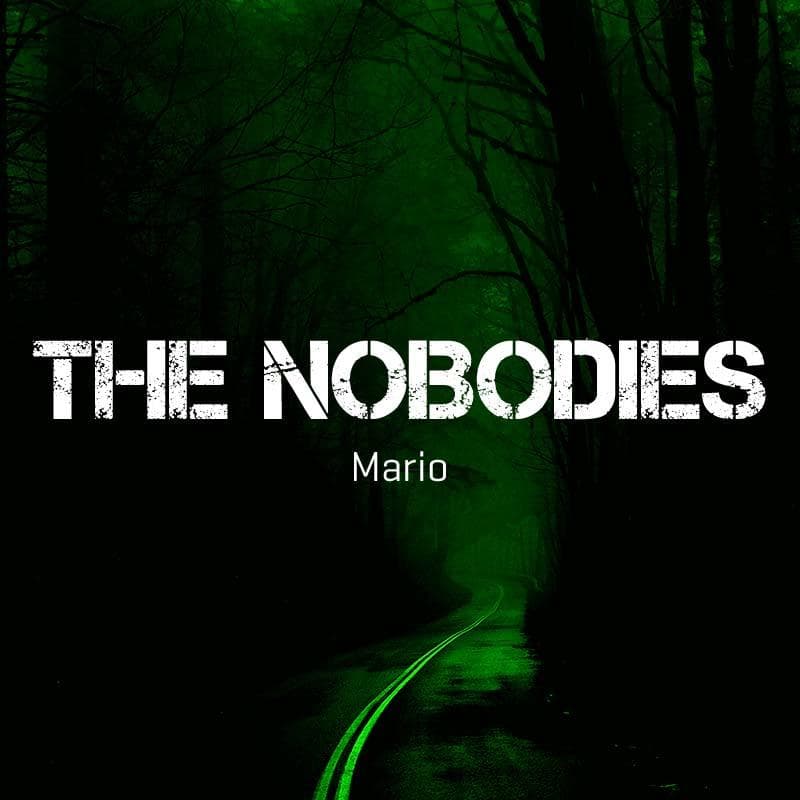 Cover for THE NOBODIES