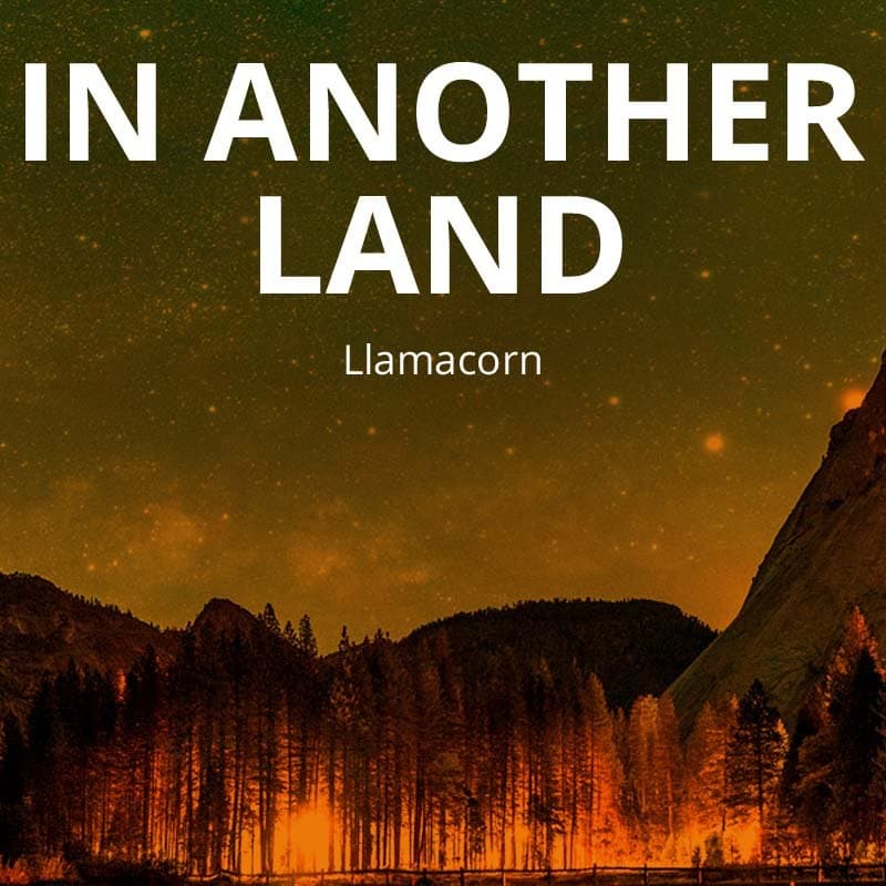 Cover for In Another Land