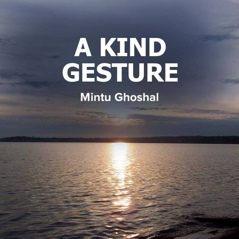 Cover for A kind gesture
