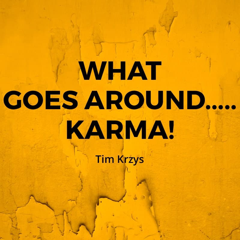 Cover for What Goes Around......Karma!