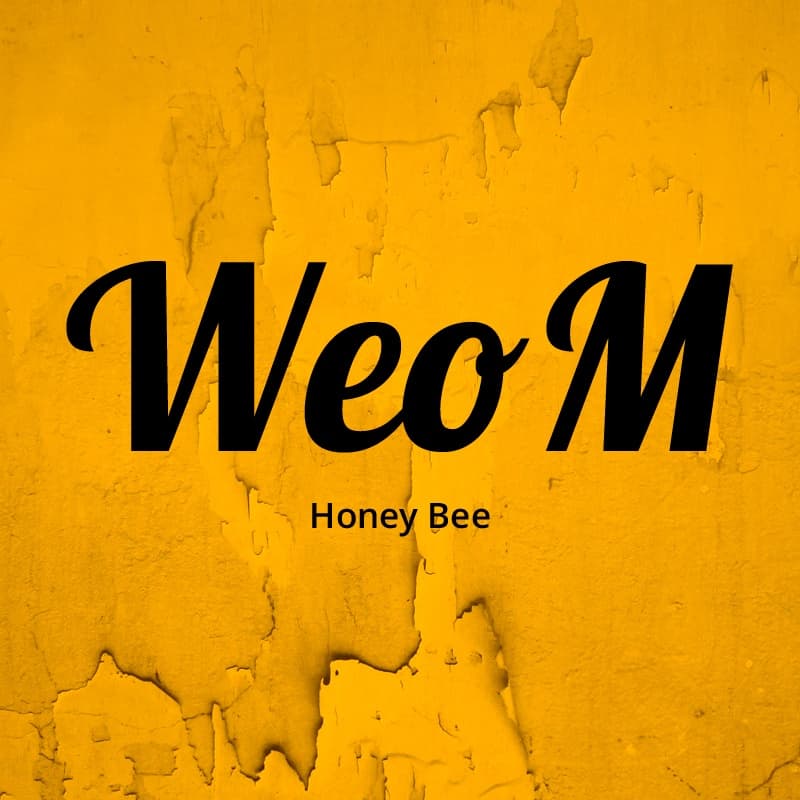 Cover for WeoM