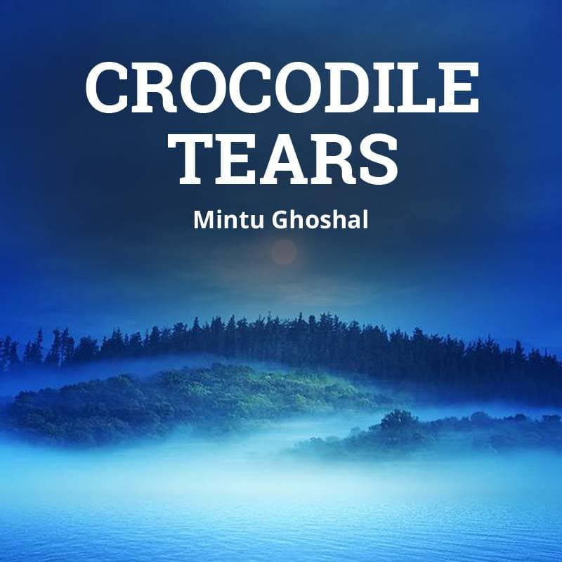 Cover for Crocodile Tears