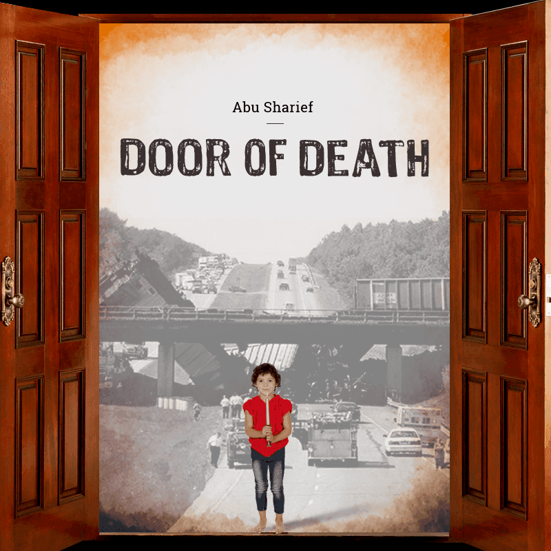 Story Cover Image
