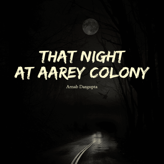 Cover of That Night at Aarey Colony
